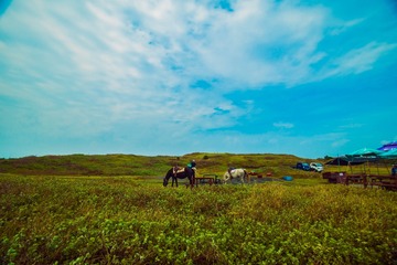 _DSC0886