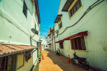 _DSC8428