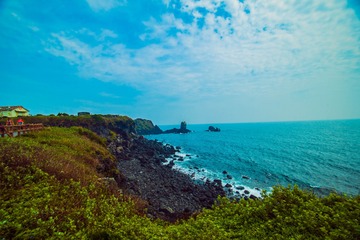 _DSC0884