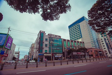 _DSC1302