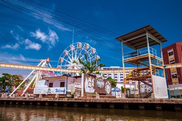 _DSC8374