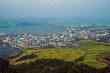 _DSC0825