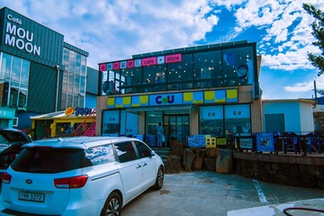 _DSC0974