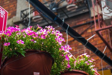 _DSC6306