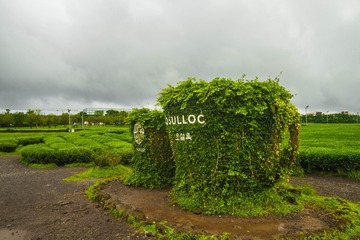 _DSC0773