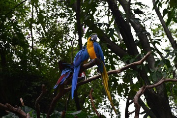 _DSC3320
