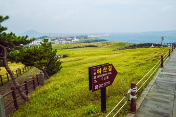 _DSC0833