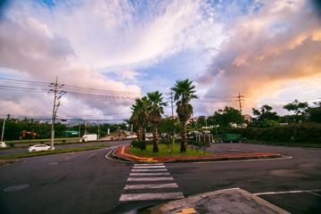 _DSC0800