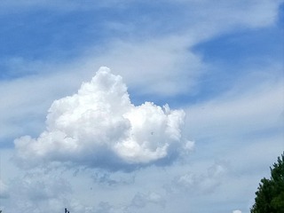 427