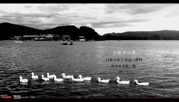 IMAG0233-2