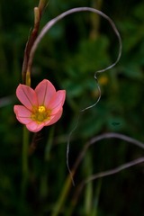 IMG_5604.jpg