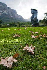 Kirstenbosch National Botanical Garden,, Cape Town