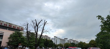 1000017902