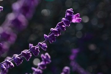 633183