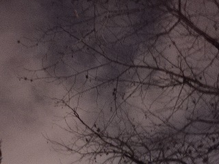 1000055163