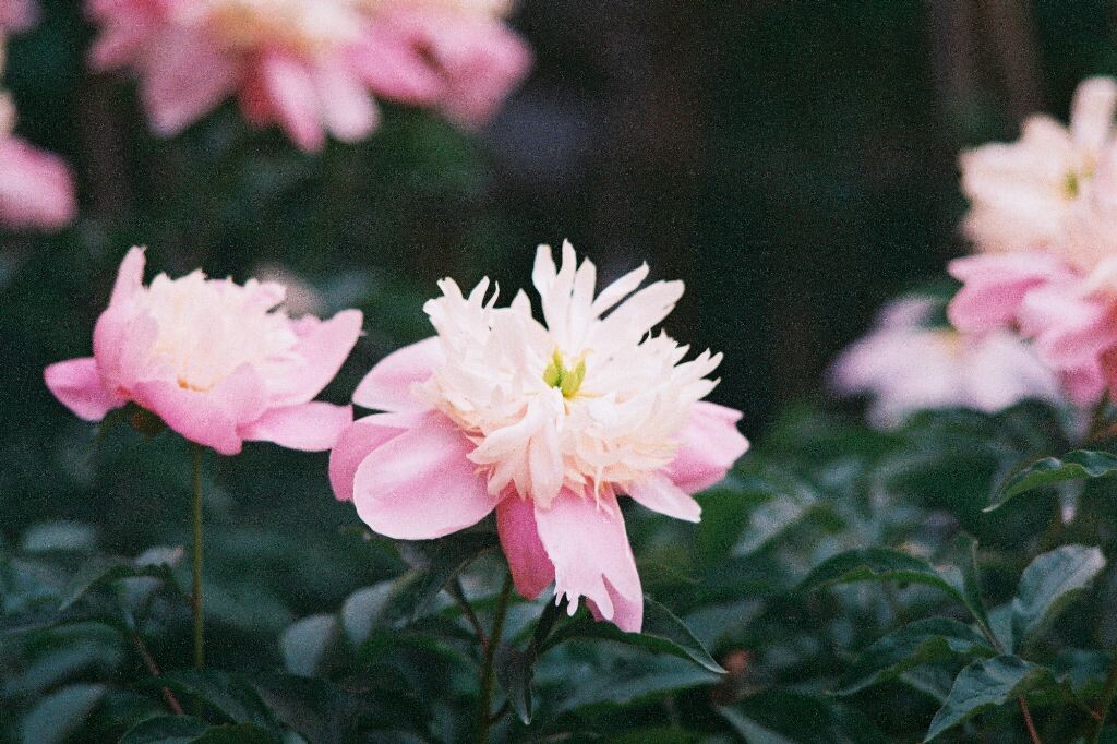 000031<br />