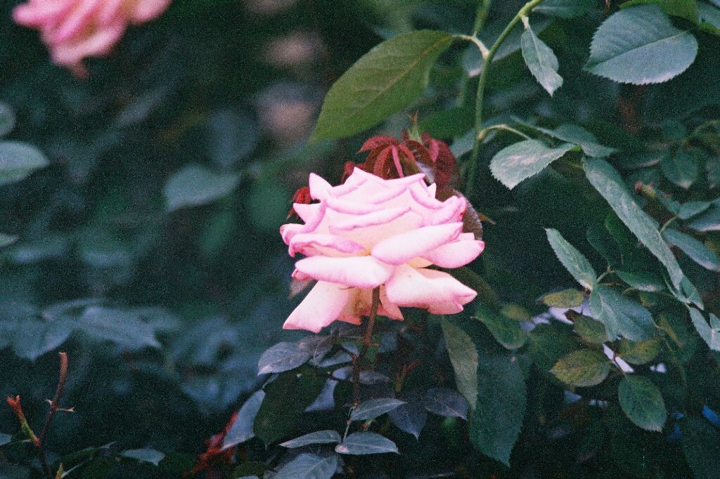 000032<br />