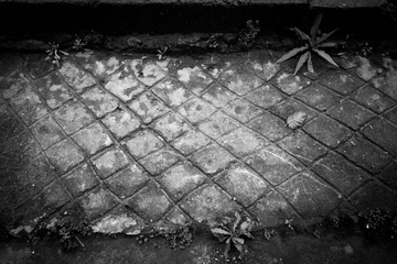 DSCF5519-1