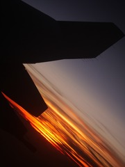 1000074525