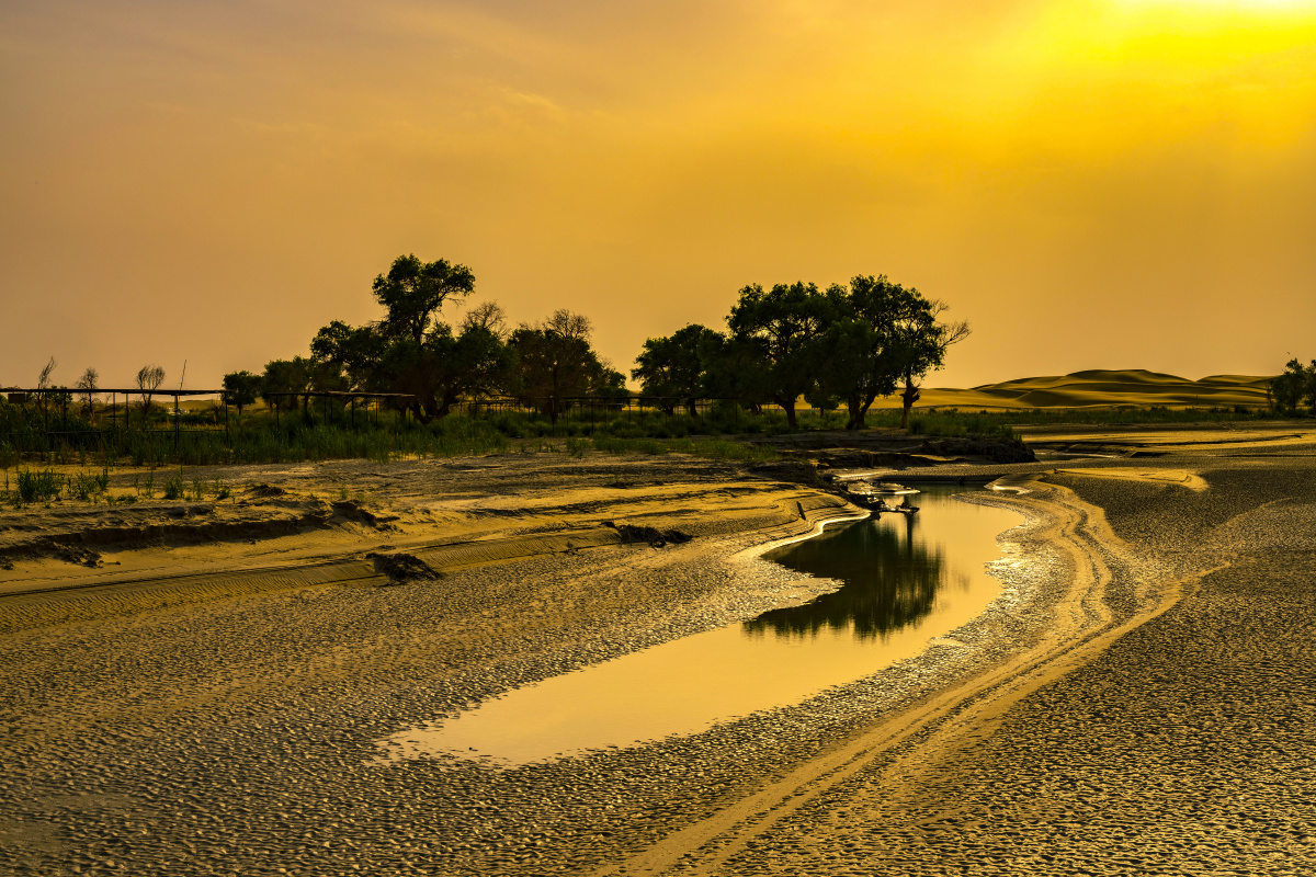 干涸的塔里木河