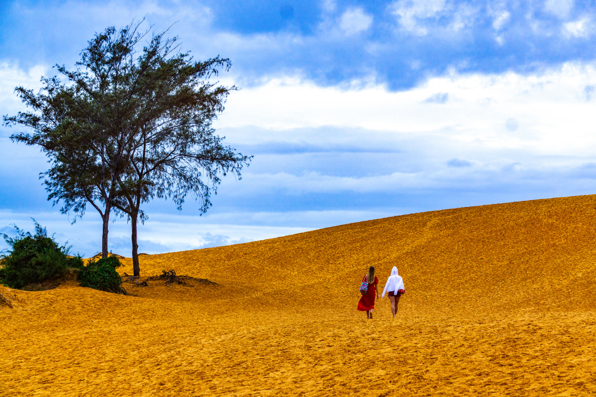 越南美奈红沙丘 - 半农