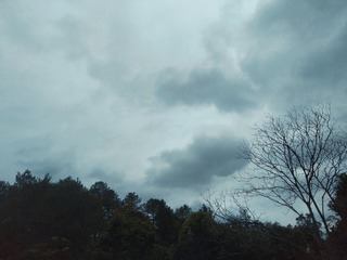 1881026