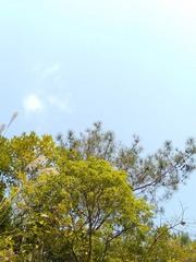 1900705