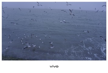 1000083285