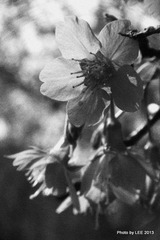 IMG_6185.JPG
