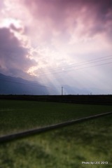 IMG_8988.JPG