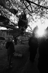IMG_2455.JPG