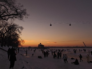 1000018639