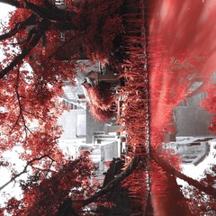 001