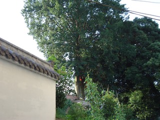 2550591