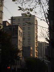 1000003365