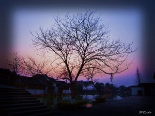IMG_3597.jpg