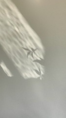 1000092229
