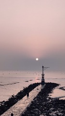 1000115988