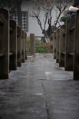 1000026398