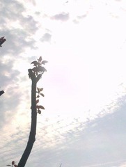 C360_2012-04-02-08-55-56_org.jpg