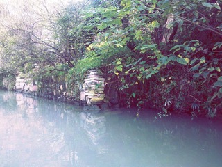 C360_2011-11-05 14-27-39.jpg