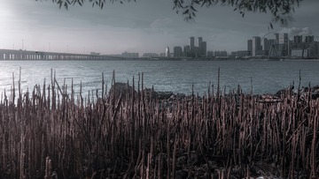001
