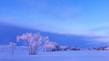 2012孙太升摄影集_A组_坝上 (7).jpg