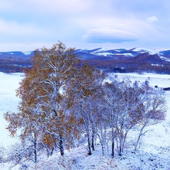 2012孙太升摄影集_A组_坝上 (14).jpg