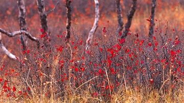 PS原图_A (3).jpg
