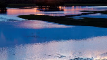 根河湿地F组 (1).jpg