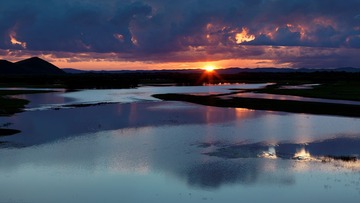 根河湿地F组 (4).jpg