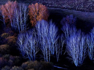 坝上金秋2013_F组_坝上暖水 (2)
