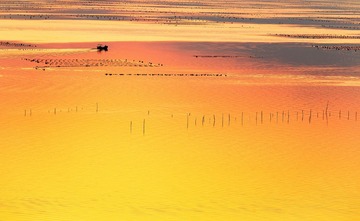 霞浦2013_1_围江 (1)
