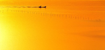 霞浦2013_1_围江 (3)